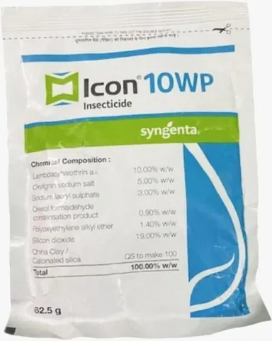Icon 10 WP ambalaj görseli