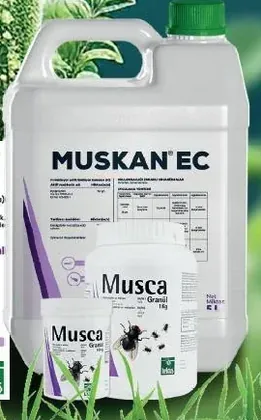 Muskan EC – toplu seri fotoğrafından ürün odaklı kırpım